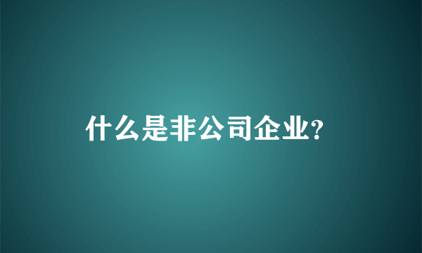 什么是非公司企业？