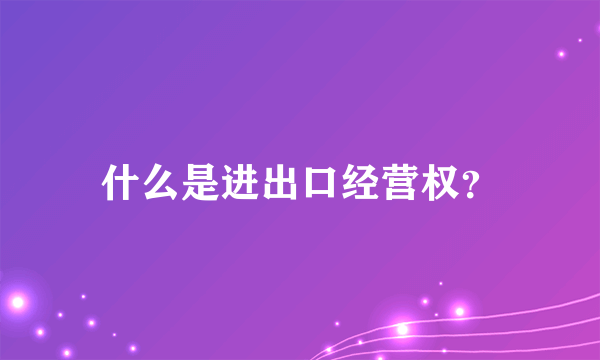 什么是进出口经营权？