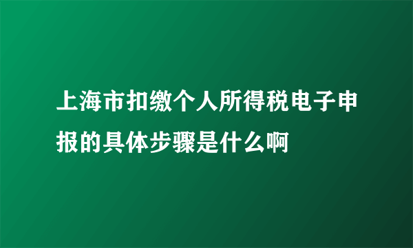 上海市扣缴个人所得税电子申报的具体步骤是什么啊