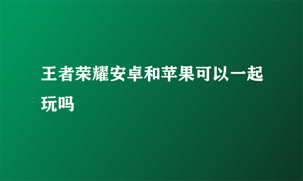 王者荣耀安卓和苹果可以一起玩吗