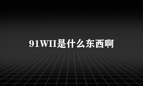 91WII是什么东西啊