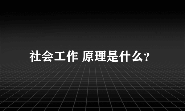 社会工作 原理是什么？