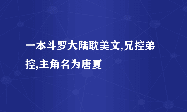 一本斗罗大陆耽美文,兄控弟控,主角名为唐夏