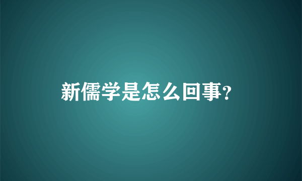 新儒学是怎么回事？