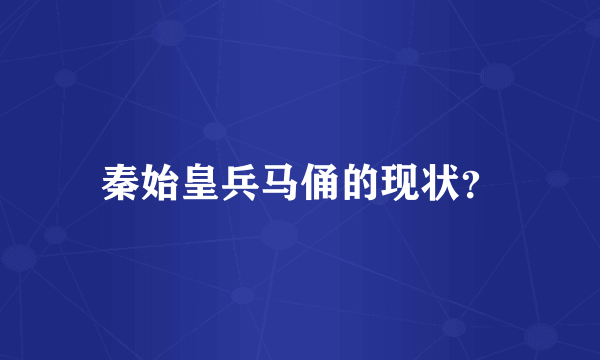 秦始皇兵马俑的现状？