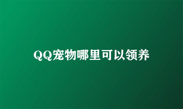 QQ宠物哪里可以领养