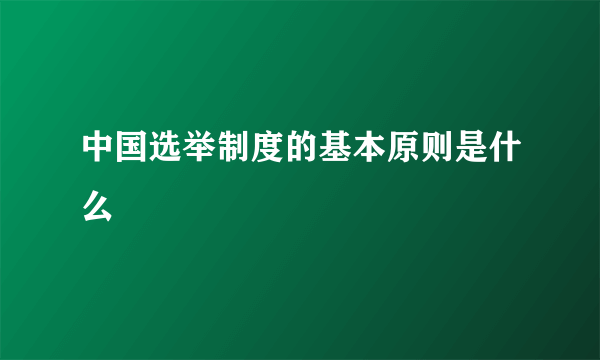 中国选举制度的基本原则是什么