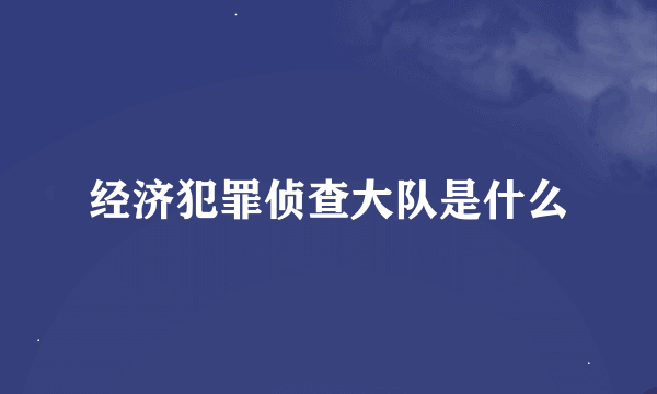 经济犯罪侦查大队是什么