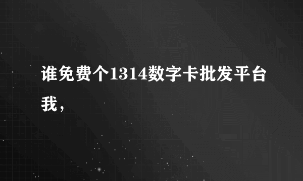 谁免费个1314数字卡批发平台我，