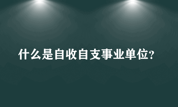 什么是自收自支事业单位？