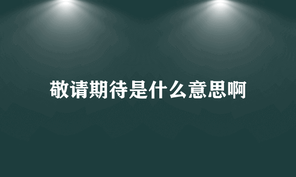 敬请期待是什么意思啊