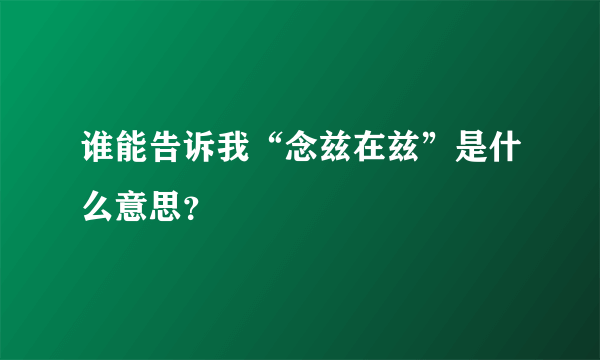 谁能告诉我“念兹在兹”是什么意思？