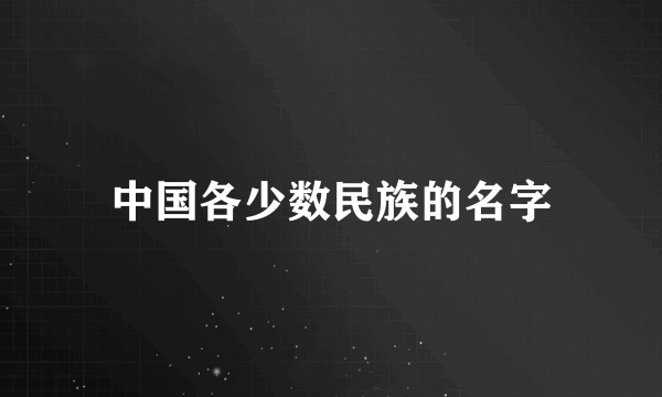 中国各少数民族的名字