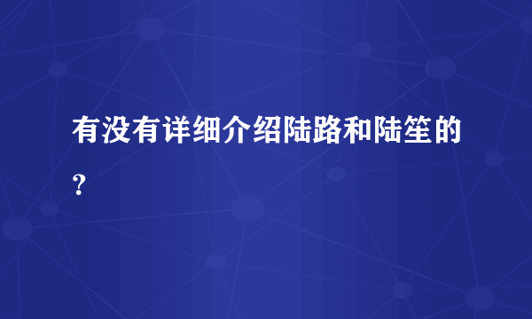 有没有详细介绍陆路和陆笙的？