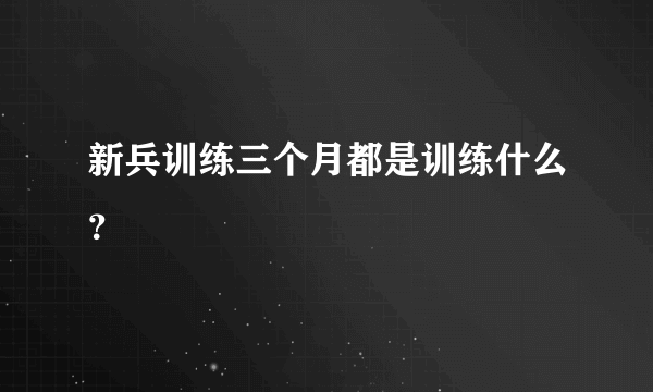 新兵训练三个月都是训练什么？