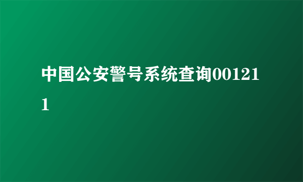 中国公安警号系统查询001211