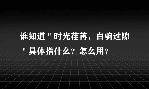 谁知道＂时光荏苒，白驹过隙＂具体指什么？怎么用？