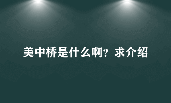 美中桥是什么啊？求介绍