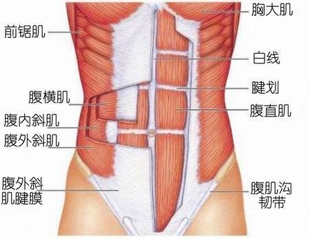 练完腹肌以后为什么肚子鼓起来了？