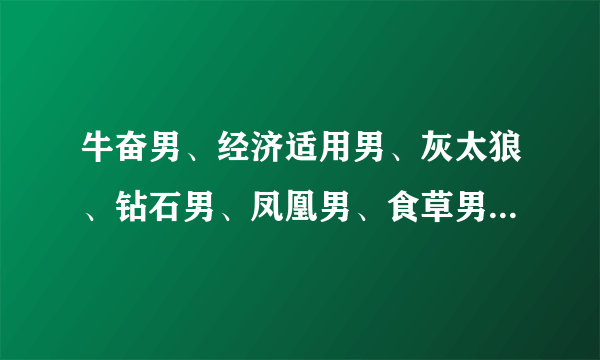 牛奋男、经济适用男、灰太狼、钻石男、凤凰男、食草男、韩国电玩男昌、日本便当男、三低男解释　