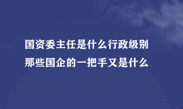 国资委主任是什么行政级别 那些国企的一把手又是什么