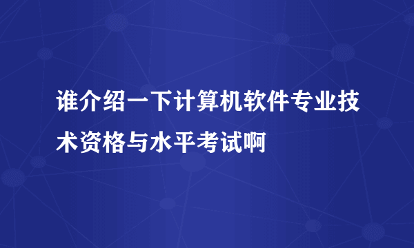 谁介绍一下计算机软件专业技术资格与水平考试啊