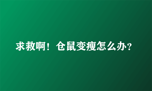 求救啊！仓鼠变瘦怎么办？