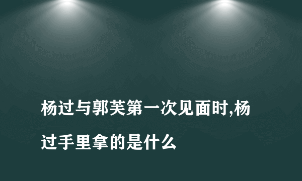 
杨过与郭芙第一次见面时,杨过手里拿的是什么

