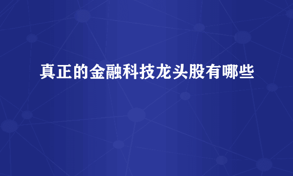 真正的金融科技龙头股有哪些