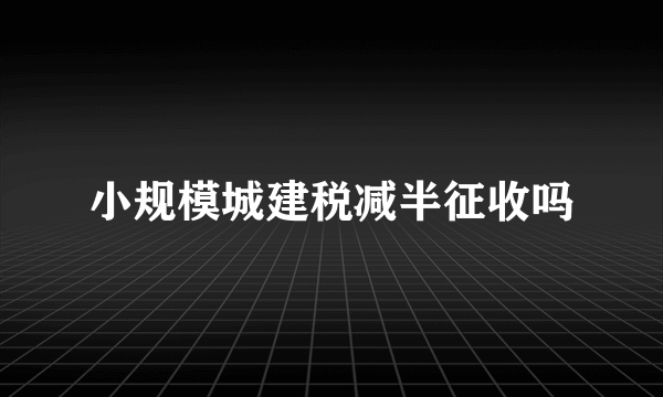 小规模城建税减半征收吗