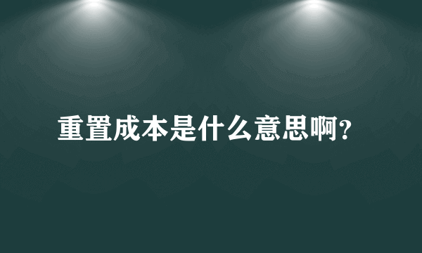 重置成本是什么意思啊？