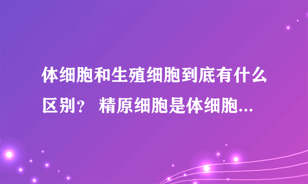 体细胞和生殖细胞到底有什么区别？ 精原细胞是体细胞还是原始生殖细胞？