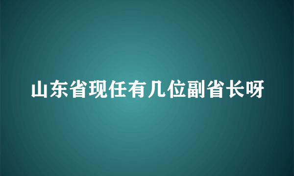 山东省现任有几位副省长呀