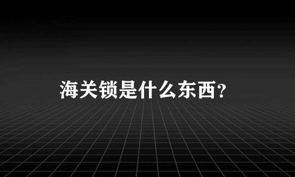 海关锁是什么东西？