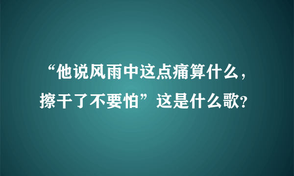 “他说风雨中这点痛算什么，擦干了不要怕”这是什么歌？