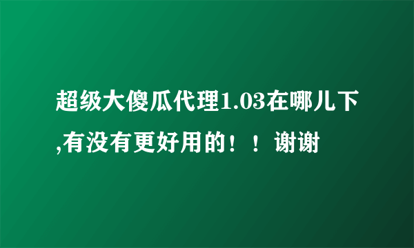 超级大傻瓜代理1.03在哪儿下,有没有更好用的！！谢谢