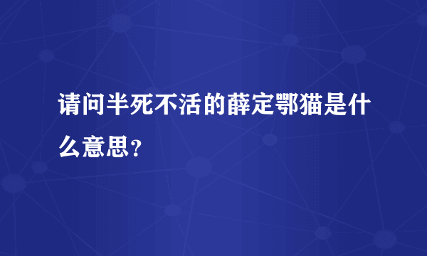 请问半死不活的薛定鄂猫是什么意思？