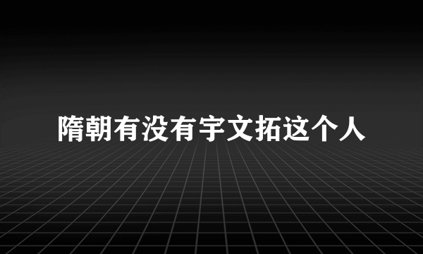 隋朝有没有宇文拓这个人