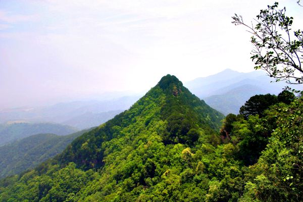 什么成语的意思是这山望着那山高