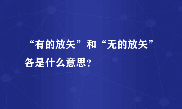 “有的放矢”和“无的放矢”各是什么意思？