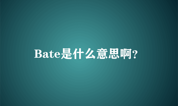 Bate是什么意思啊？