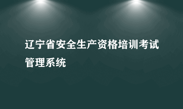 辽宁省安全生产资格培训考试管理系统