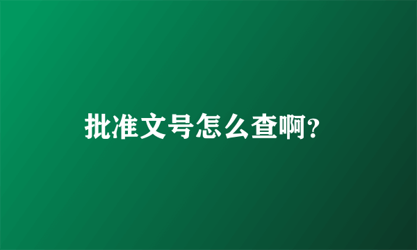 批准文号怎么查啊？