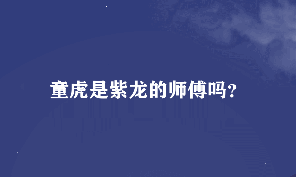 童虎是紫龙的师傅吗？