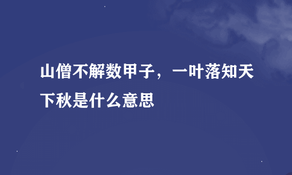 山僧不解数甲子，一叶落知天下秋是什么意思