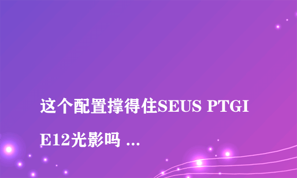 
这个配置撑得住SEUS PTGI E12光影吗 这里有两个配置 你们看一下

