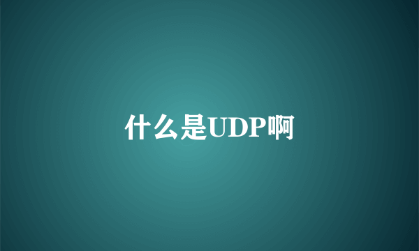 什么是UDP啊