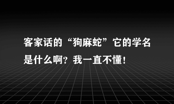 客家话的“狗麻蛇”它的学名是什么啊？我一直不懂！