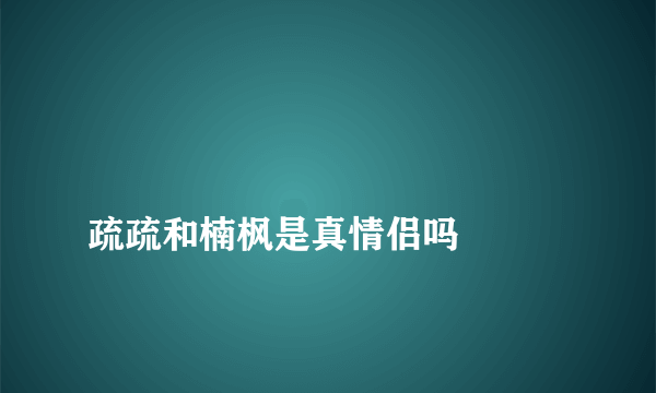 
疏疏和楠枫是真情侣吗

