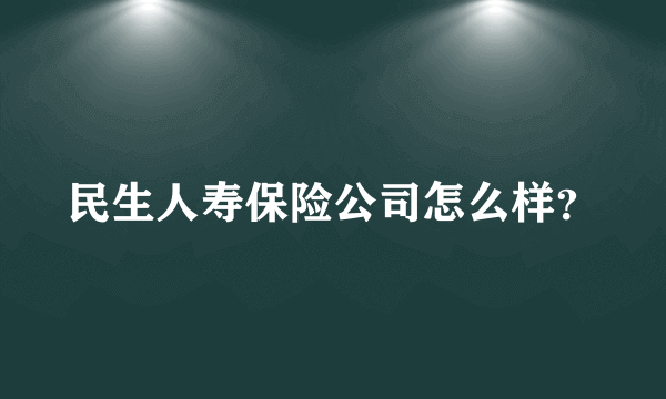 民生人寿保险公司怎么样？